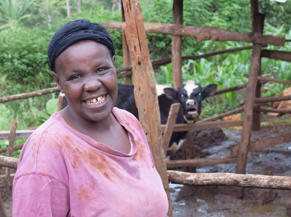 Gladys, her cow, and her flourishing forest garden